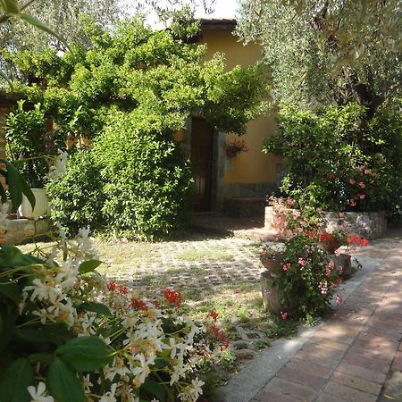 Residence E B&B Villamirella Palinuro Exterior foto